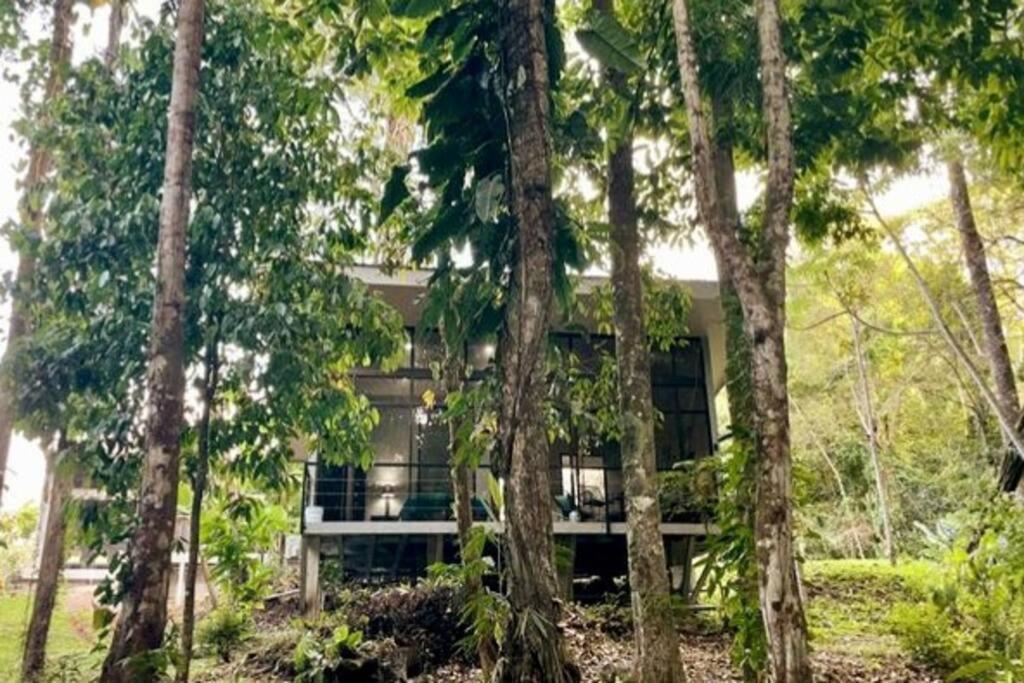 An Abundance Of Wildlife At Jungle Glory Home Abajo مانويل أنطونيو المظهر الخارجي الصورة