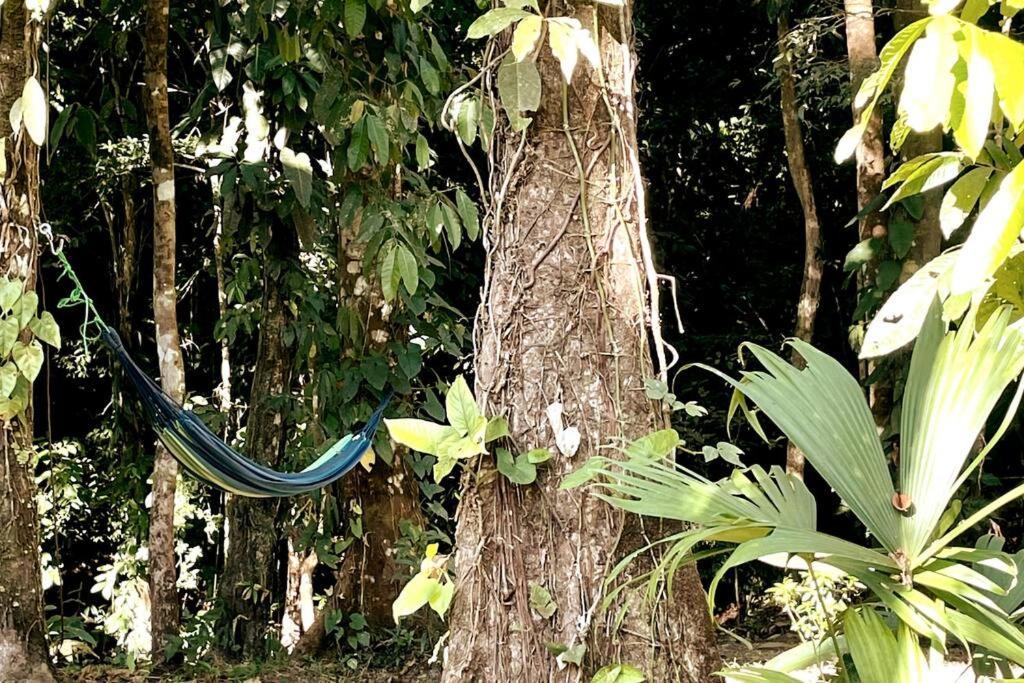 An Abundance Of Wildlife At Jungle Glory Home Abajo مانويل أنطونيو المظهر الخارجي الصورة